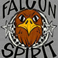 Falcon Spirit Stars Checkered Sports Mascot Ready to Press Transfer DTF Transfer Sublimation Transfer