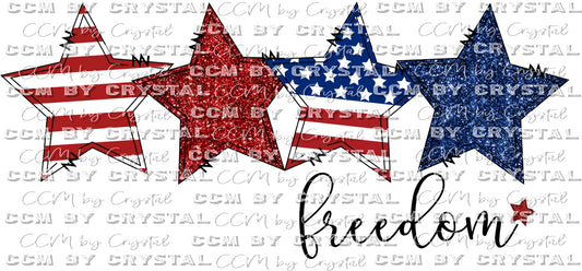 Freedom Stars Faux Glitter USA America Fourth of July Ready to Press Transfer