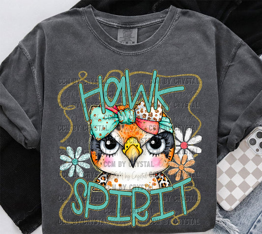 Hawk Spirit Cartoon Mascot Ready to Press Transfer DTF Transfer Sublimation Transfer
