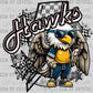Hawks Cute Mascot Ready to Press Transfer DTF Transfer Sublimation Transfer