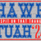 Hawk Tuah Spit on that Thang "24 Ready to Press Transfer DTF Transfer Sublimation Transfer