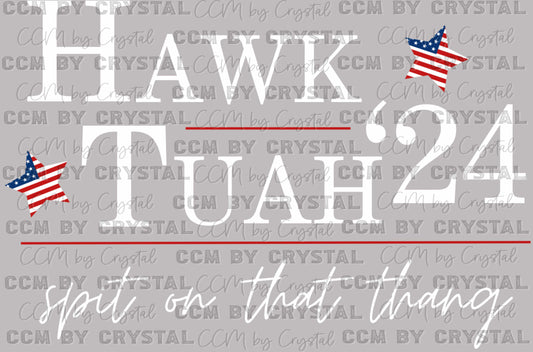 Hawk Tuah Spit on that Thang "24 Ready to Press Transfer DTF Transfer