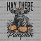 Hay There Pumpkin Fall Cow Ready to Press Transfer Instant Peel DTF Transfer Sublimation Transfer