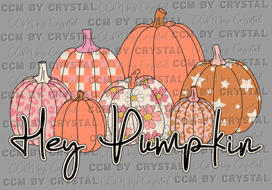 Hey Pumpkin Fall Ready to Press Transfer DTF Transfer Sublimation Transfer