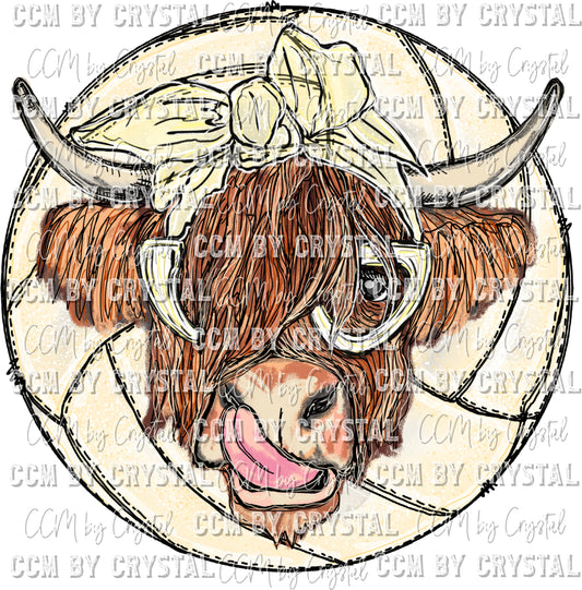 Highland Cow Volleyball Ready to Press Transfer