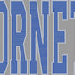 Custom Personalized Name/Mascot 11" Sport Font 2- Color Spangle Transfer