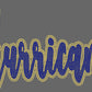 Hurricanes 2-Color Approximately 11" wide Spangle Transfer