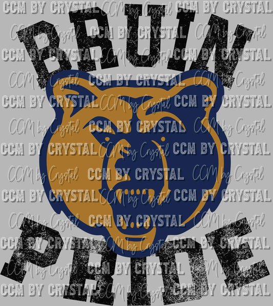 Bruins Pride Mascot Ready to Press Transfer