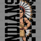 Indians Checkered Sports Mascot Ready to Press Transfer DTF Transfer Sublimation Transfer