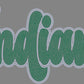 Indians 2-Color Approximately 11" wide Spangle Transfer