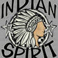 Indian Spirit Stars Checkered Sports Mascot Ready to Press Transfer DTF Transfer Sublimation Transfer