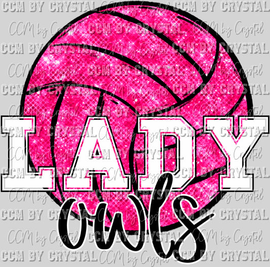 Lady Owls Pink Out Volleyball Mascot Ready to Press Transfer