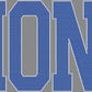 Lions 2-Color Approximately 13" wide X 6" Spangle Transfer