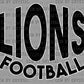 Lions Football Ready to Press Transfer DTF Transfer Sublimation Transfer