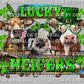 Lucky Heifers St. Patrick's Day Ready to Press Transfer