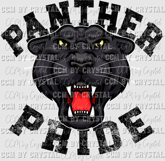Panther Pride Mascot Ready to Press Transfer