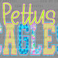 Pettus Eagles Bright Ready to Press DTF Transfers Sublimation Transfers