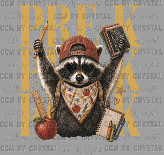 Pre-K Grade Raccoon Back to School Ready to Press Transfer Direct to Film DTF Transfers