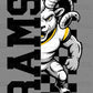 Rams Checkered Sports Mascot Ready to Press Transfer DTF Transfer Sublimation Transfer