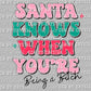 Santa Knows When Your Being A Bitch Christmas Ready to Press Transfer