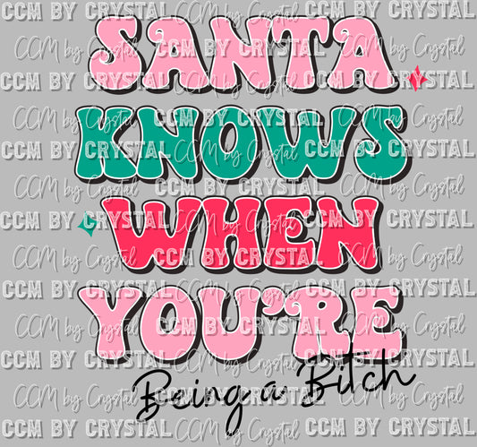 Santa Knows When Your Being A Bitch Christmas Ready to Press Transfer