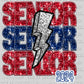 Senior 2024 Faux Sequins Faux Embroidery Ready To Press Transfer
