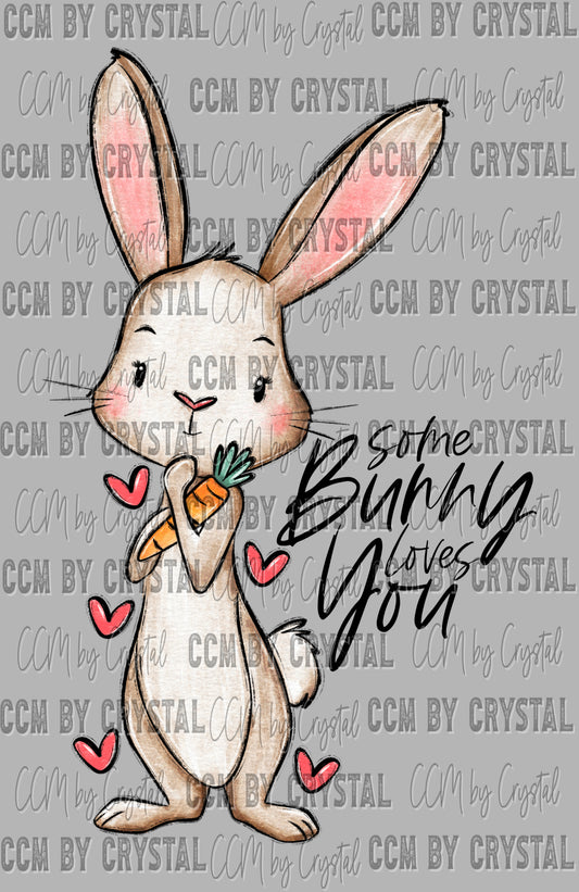 Some Bunny Loves You Easter Spring Ready to Press Transfer DTF Transfer Sublimation Transfer