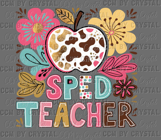 Sped Teacher School Ready to Press Transfer DTF Transfer Sublimation Transfer