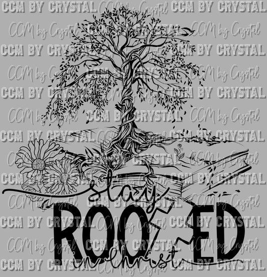 Stay Rooted in Christ Ready to Press Transfer DTF Transfer Sublimation Transfer
