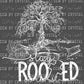 Stay Rooted in Christ Ready to Press Transfer DTF Transfer
