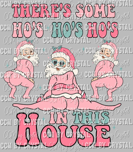 There's Some Ho's in This House Ready To Press Transfer DTF Sublimation