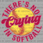There's No Crying In Softball Bow Ready to Press Transfer DTF Transfer Sublimation Transfer