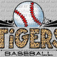 Tigers Baseball Ready to Press Transfer DTF Transfer Sublimation Transfer