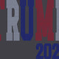 Trump 2024 3-Color Approximately 11" wide Spangle Transfer