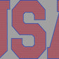 USA 2-Color Approximately 11" wide Spangle Transfer