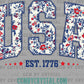 USA est 1776 Faux Embroidery Fourth of July 4th Patriotic Ready to Press Transfer DTF Transfer Sublimation Transfer