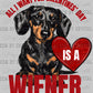 All I Want for Valentines Day is A Wiener Ready to Press Transfer DTF Transfer Sublimation Transfer