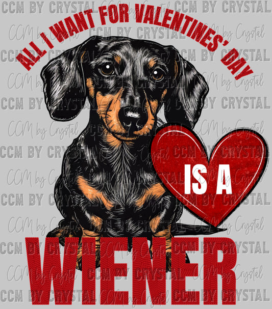 All I Want for Valentines Day is A Wiener Ready to Press Transfer DTF Transfer Sublimation Transfer