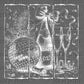 New Year Celebration Ready to Press Transfer DTF Transfer Sublimation Transfer