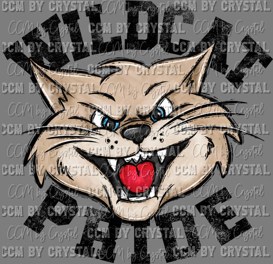 Wildcat Pride Mascot Ready to Press Transfer