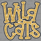 Wildcats Gold Faux Glitter Mascot Ready to Press Transfer DTF Transfer Sublimation Transfer