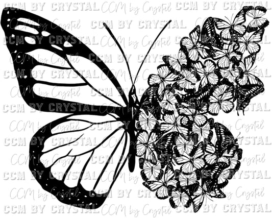 Butterflys Ready to Press Transfer