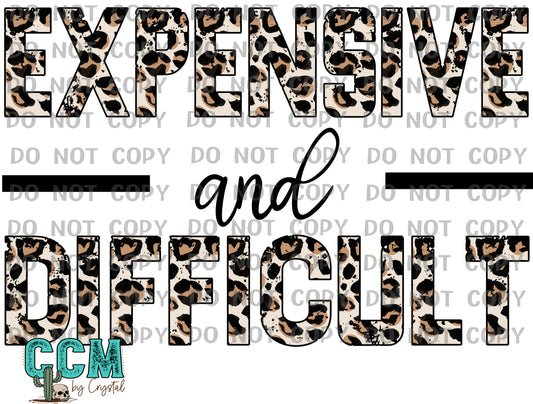 Expensive and Difficult PNG Digital File ONLY