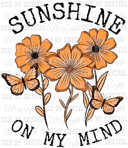 Sunshine on My Mind Ready to Press Transfer