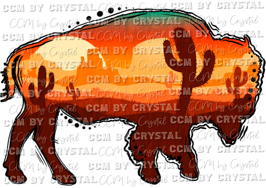 Bison Buffalo Desert Sunset Ready to Press Transfer