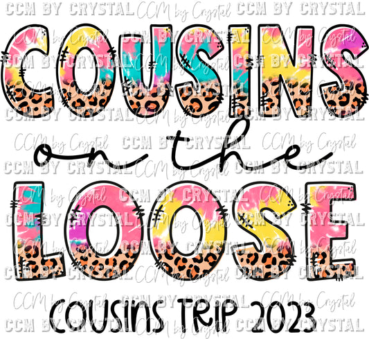 Cousins on the Loose Cousins Trip 2023 Ready to Press Transfer