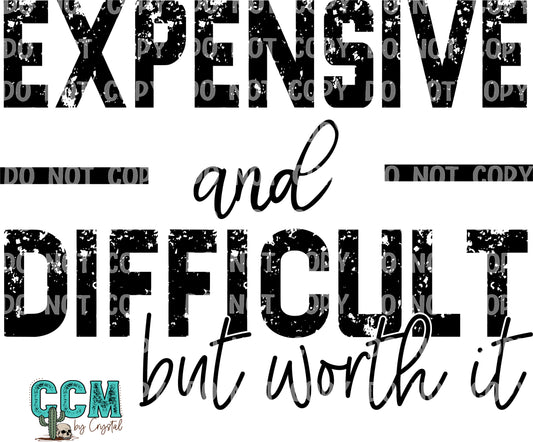 Expensive and Difficult but Worth It