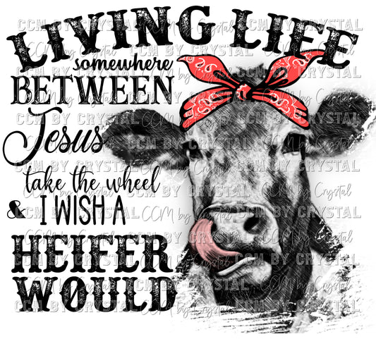 Living Life Somewhere between Jesus Take the Wheel and I wish a Heifer Would Ready to Press Transfer