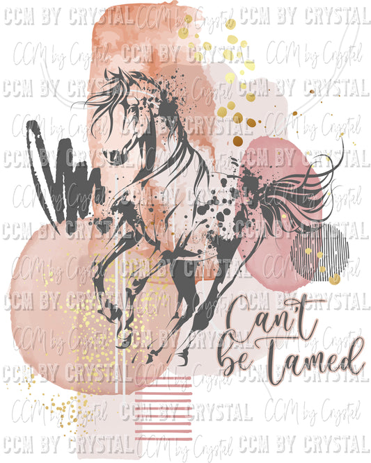 Can't Be Tamed Horse  Ready to Press Transfer